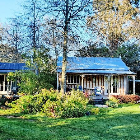 Bumblebee Cottage Greytown Extérieur photo