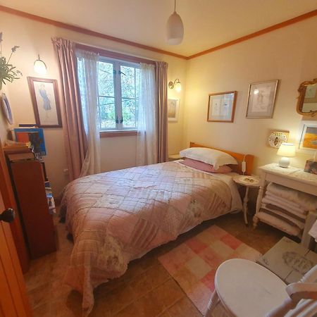 Bumblebee Cottage Greytown Extérieur photo