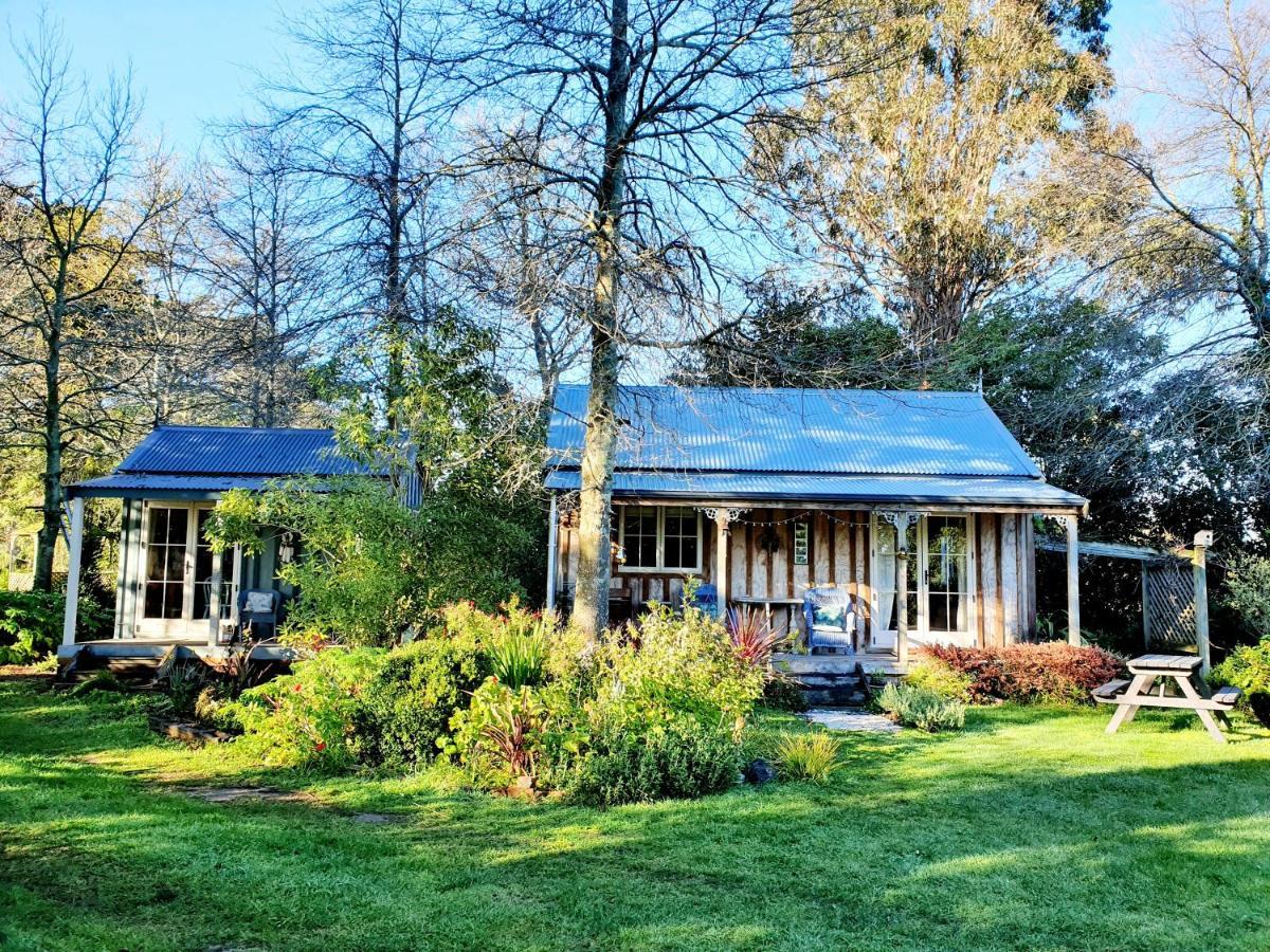 Bumblebee Cottage Greytown Extérieur photo