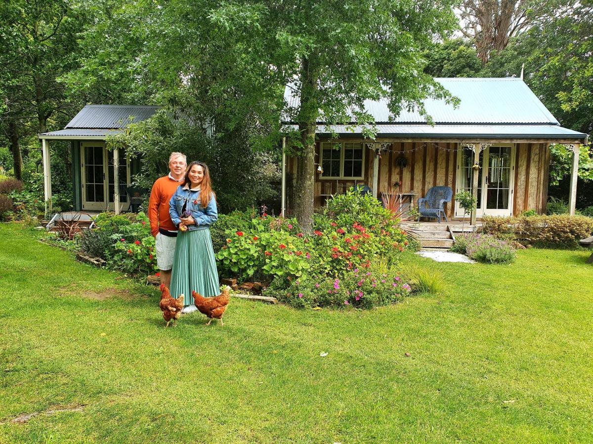 Bumblebee Cottage Greytown Extérieur photo