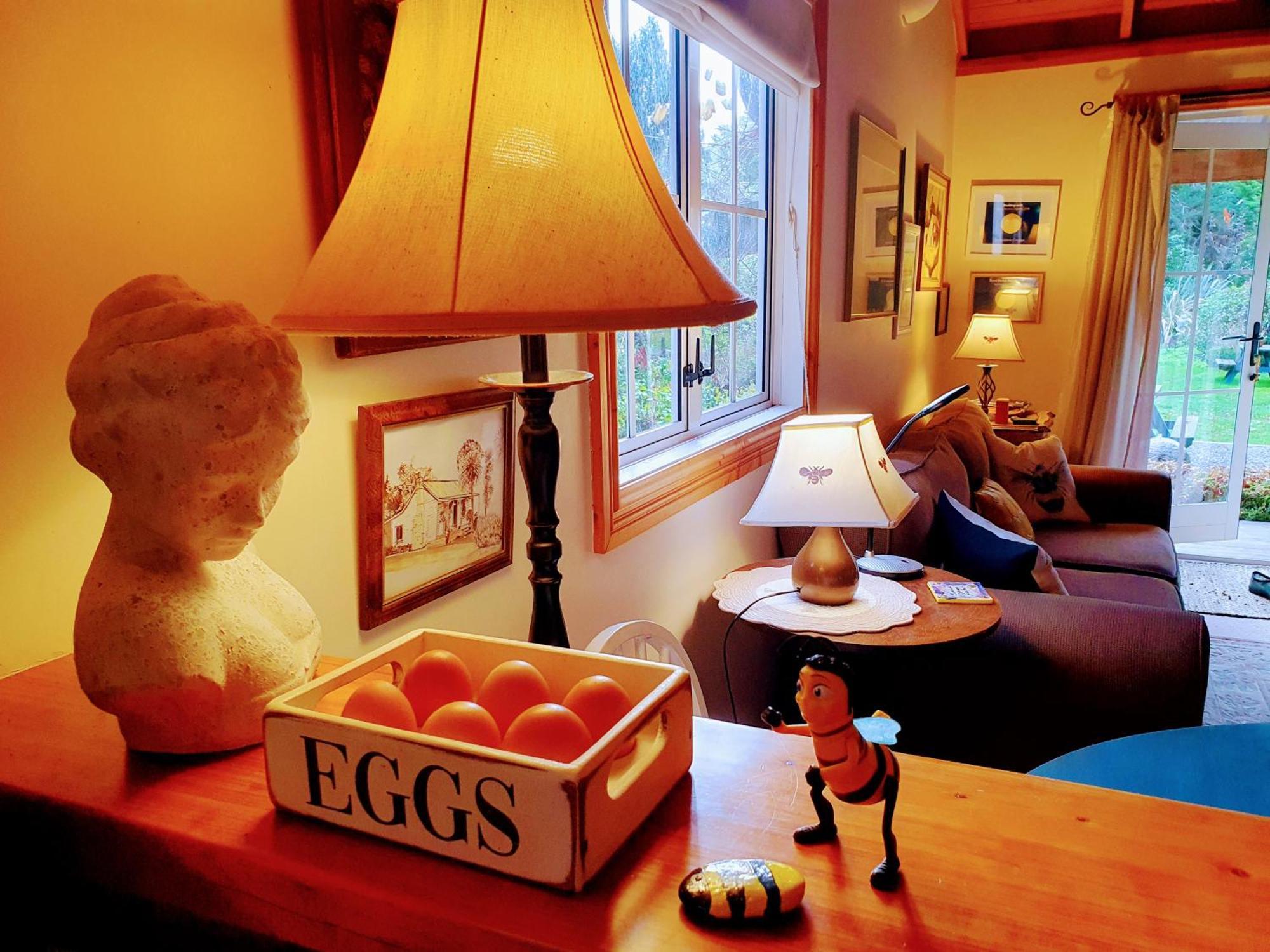 Bumblebee Cottage Greytown Extérieur photo